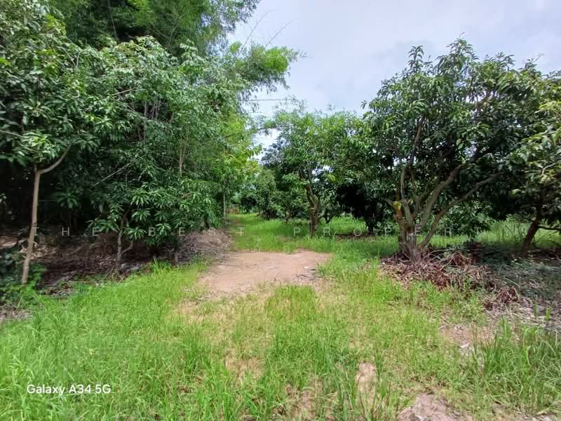 ที่ดินสากเหล็ก พิจิตร, พิจิตร, วังทับไทร, สากเหล็ก, พิจิตร, 44,996 ตร.ม., ที่ดิน ขาย, โดย The Best Property อ้อ, 500489721 - DDproperty.com