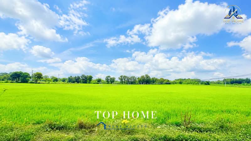 **ขายด่วน! ที่ดิน 3 ไร่ 46.6 ตร.ว. หนองเสือ คลอง 10 ปทุมธานี**, Pathum Thani, Bung Ba, Nong Sua, Pathum Thani, , 4,986 sqm, Land For Sale, by คุณนับ, 500489732 - DDproperty.com