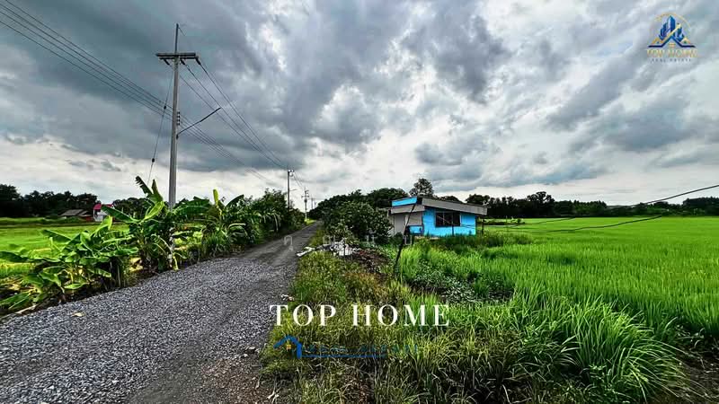 **ขายด่วน! ที่ดิน 3 ไร่ 46.6 ตร.ว. หนองเสือ คลอง 10 ปทุมธานี**, Pathum Thani, Bung Ba, Nong Sua, Pathum Thani, , 4,986 sqm, Land For Sale, by คุณนับ, 500489732 - DDproperty.com