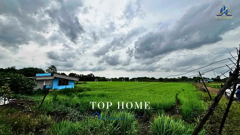 **ขายด่วน! ที่ดิน 3 ไร่ 46.6 ตร.ว. หนองเสือ คลอง 10 ปทุมธานี**, Pathum Thani, Bung Ba, Nong Sua, Pathum Thani, , 4,986 sqm, Land For Sale, by คุณนับ, 500489732 - DDproperty.com
