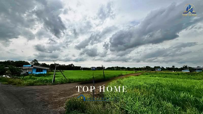 **ขายด่วน! ที่ดิน 3 ไร่ 46.6 ตร.ว. หนองเสือ คลอง 10 ปทุมธานี**, Pathum Thani, Bung Ba, Nong Sua, Pathum Thani, , 4,986 sqm, Land For Sale, by คุณนับ, 500489732 - DDproperty.com