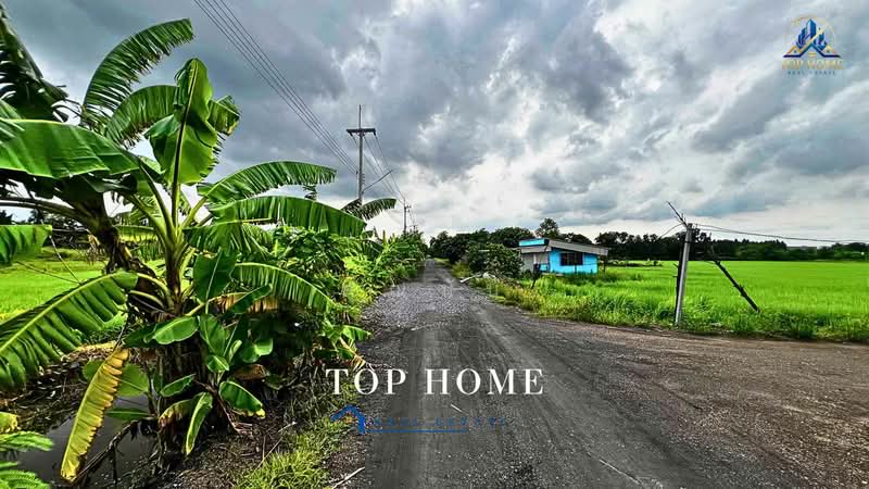 **ขายด่วน! ที่ดิน 3 ไร่ 46.6 ตร.ว. หนองเสือ คลอง 10 ปทุมธานี**, ปทุมธานี, บึงบา, หนองเสือ, ปทุมธานี, 4,986 ตร.ม., ที่ดิน ขาย, โดย คุณนับ, 500489732 - DDproperty.com