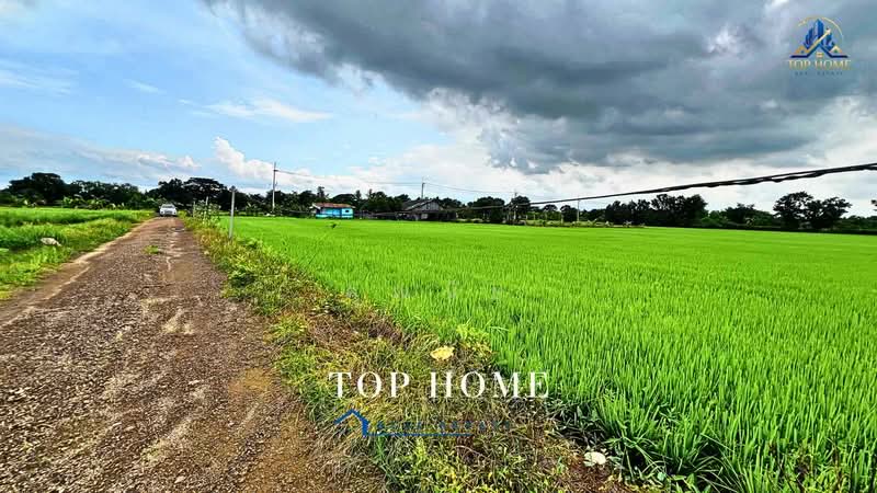 **ขายด่วน! ที่ดิน 3 ไร่ 46.6 ตร.ว. หนองเสือ คลอง 10 ปทุมธานี**, Pathum Thani, Bung Ba, Nong Sua, Pathum Thani, , 4,986 sqm, Land For Sale, by คุณนับ, 500489732 - DDproperty.com