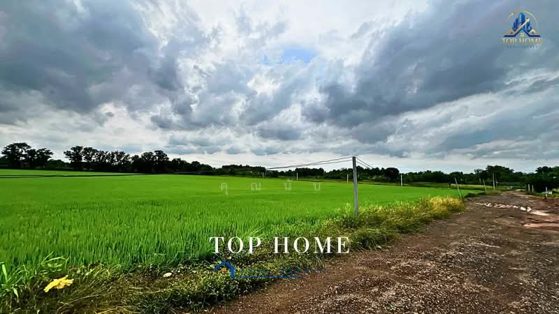 **ขายด่วน! ที่ดิน 3 ไร่ 46.6 ตร.ว. หนองเสือ คลอง 10 ปทุมธานี**, Pathum Thani, Bung Ba, Nong Sua, Pathum Thani, , 4,986 sqm, Land For Sale, by คุณนับ, 500489732 - DDproperty.com