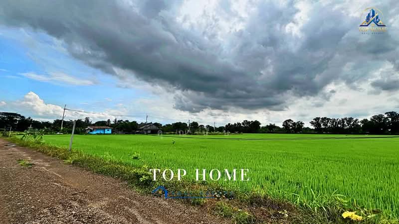 **ขายด่วน! ที่ดิน 3 ไร่ 46.6 ตร.ว. หนองเสือ คลอง 10 ปทุมธานี**, Pathum Thani, Bung Ba, Nong Sua, Pathum Thani, , 4,986 sqm, Land For Sale, by คุณนับ, 500489732 - DDproperty.com