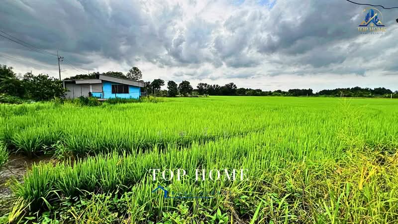 **ขายด่วน! ที่ดิน 3 ไร่ 46.6 ตร.ว. หนองเสือ คลอง 10 ปทุมธานี**, Pathum Thani, Bung Ba, Nong Sua, Pathum Thani, , 4,986 sqm, Land For Sale, by คุณนับ, 500489732 - DDproperty.com