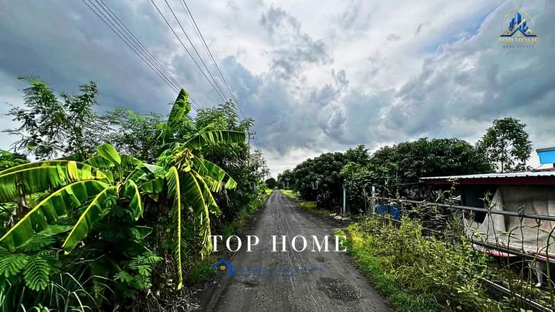 **ขายด่วน! ที่ดิน 3 ไร่ 46.6 ตร.ว. หนองเสือ คลอง 10 ปทุมธานี**, Pathum Thani, Bung Ba, Nong Sua, Pathum Thani, , 4,986 sqm, Land For Sale, by คุณนับ, 500489732 - DDproperty.com