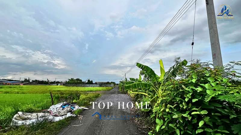 **ขายด่วน! ที่ดิน 3 ไร่ 46.6 ตร.ว. หนองเสือ คลอง 10 ปทุมธานี**, ปทุมธานี, บึงบา, หนองเสือ, ปทุมธานี, 4,986 ตร.ม., ที่ดิน ขาย, โดย คุณนับ, 500489732 - DDproperty.com