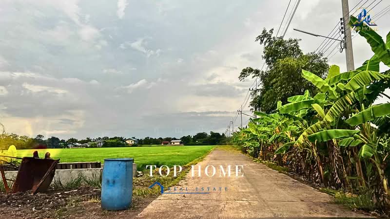 **ขายด่วน! ที่ดิน 3 ไร่ 46.6 ตร.ว. หนองเสือ คลอง 10 ปทุมธานี**, Pathum Thani, Bung Ba, Nong Sua, Pathum Thani, , 4,986 sqm, Land For Sale, by คุณนับ, 500489732 - DDproperty.com