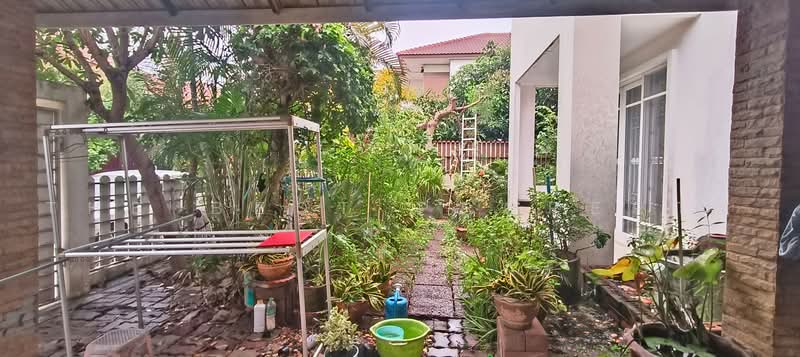 หมู่บ้านสุขุมวิท1 เฟส3 บางสมัคร (Sukhumvit1 Phase3 Bang Samak), ฉะเชิงเทรา, บางสมัคร, บางปะกง, ฉะเชิงเทรา, 150 ตร.ม., บ้านเดี่ยว ขาย, โดย The Best Property ฟ้า, 500489741 - DDproperty.com