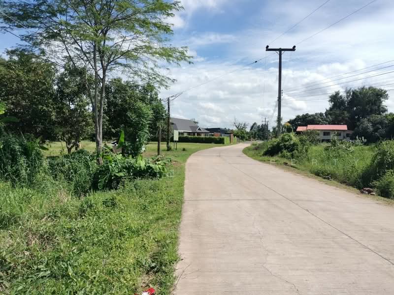 ที่ดินวังทอง พิษณุโลก, พิษณุโลก, วังพิกุล, วังทอง, พิษณุโลก, 1,372 ตร.ม., ที่ดิน ขาย, โดย The Best Property ณิชา, 500489765 - DDproperty.com