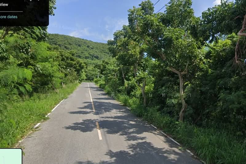 ใกล้ท่าอากาศยานนานาชาติอู่ตะเภา, ชลบุรี, พลูตาหลวง, สัตหีบ, ชลบุรี, 297 ตร.ม., ที่ดิน ขาย, โดย ชนะชาติ นนท์ตา, 500489809 - DDproperty.com