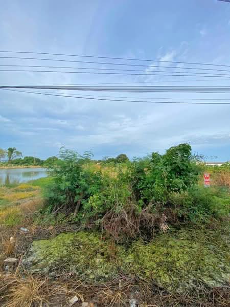 ที่ดินบางบ่อ สมุทรปราการ, Samut Prakan, Bang Bo, Samut Prakan, , 2,990 sqm, Land For Sale, by The Best Property เอ๋, 500489815 - DDproperty.com