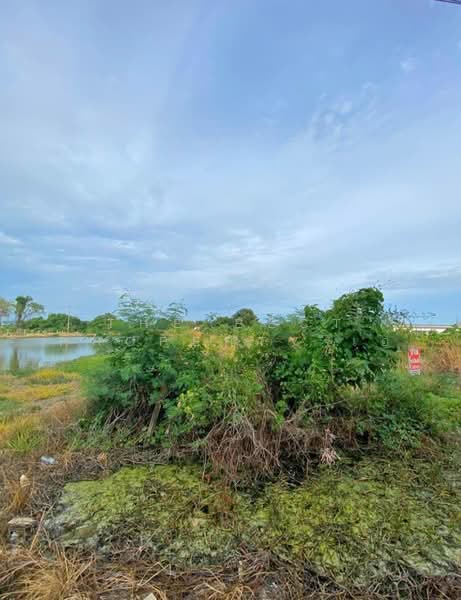 ที่ดินบางบ่อ สมุทรปราการ, Samut Prakan, Bang Bo, Samut Prakan, , 2,990 sqm, Land For Sale, by The Best Property เอ๋, 500489815 - DDproperty.com