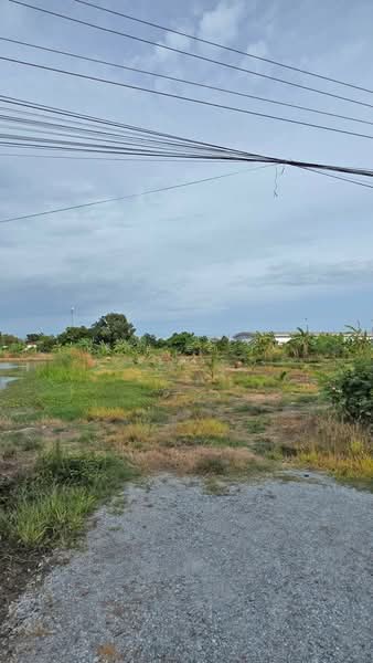 ที่ดินบางบ่อ สมุทรปราการ, Samut Prakan, Bang Bo, Samut Prakan, , 2,990 sqm, Land For Sale, by The Best Property เอ๋, 500489815 - DDproperty.com