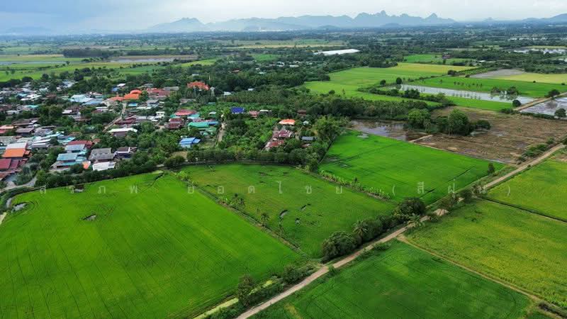 ที่นา 7-3-08 ไร่ ตำบลบ้านกลับ อำเภอหนองโดน จังหวัดสระบุรี, สระบุรี, บ้านกลับ, หนองโดน, สระบุรี, 12,432 ตร.ม., ที่ดิน ขาย, โดย สรภพ ยอดไชย (สีฝุ่น), 500489956 - DDproperty.com