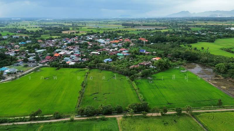 ที่นา 7-3-08 ไร่ ตำบลบ้านกลับ อำเภอหนองโดน จังหวัดสระบุรี, สระบุรี, บ้านกลับ, หนองโดน, สระบุรี, 12,432 ตร.ม., ที่ดิน ขาย, โดย สรภพ ยอดไชย (สีฝุ่น), 500489956 - DDproperty.com