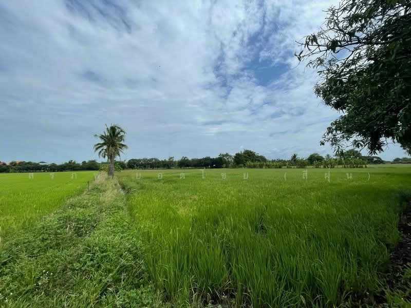 ที่นา 7-3-08 ไร่ ตำบลบ้านกลับ อำเภอหนองโดน จังหวัดสระบุรี, สระบุรี, บ้านกลับ, หนองโดน, สระบุรี, 12,432 ตร.ม., ที่ดิน ขาย, โดย สรภพ ยอดไชย (สีฝุ่น), 500489956 - DDproperty.com