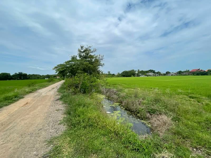 ที่นา 7-3-08 ไร่ ตำบลบ้านกลับ อำเภอหนองโดน จังหวัดสระบุรี, Saraburi, Ban Klap, Nong Don, Saraburi, , 12,432 sqm, Land For Sale, by สรภพ ยอดไชย (สีฝุ่น), 500489956 - DDproperty.com