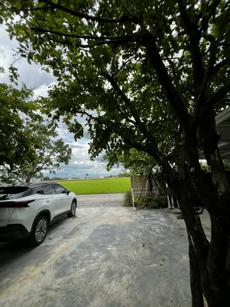 ลาดหลุมแก้ว, Pathum Thani, Khlong Phra Udom, Lat Lum Kaeo, Pathum Thani, 2 Bedrooms, 150 sqm, Single Detached House For Rent, by Adisorn Ploymeerassamee, 500489960 - DDproperty.com