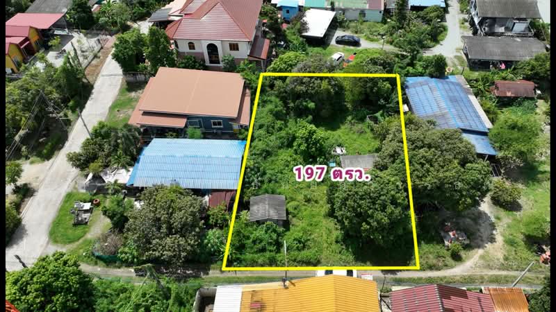 ตำบลเหมือง อำเภอเมือง จังหวัดชลบุรี, Chon Buri (Pattaya), Mhueng, Muang Chon Buri, Chon Buri (Pattaya), , 788 sqm, Land For Sale, by Nattipha Thanyawat, 500490002 - DDproperty.com