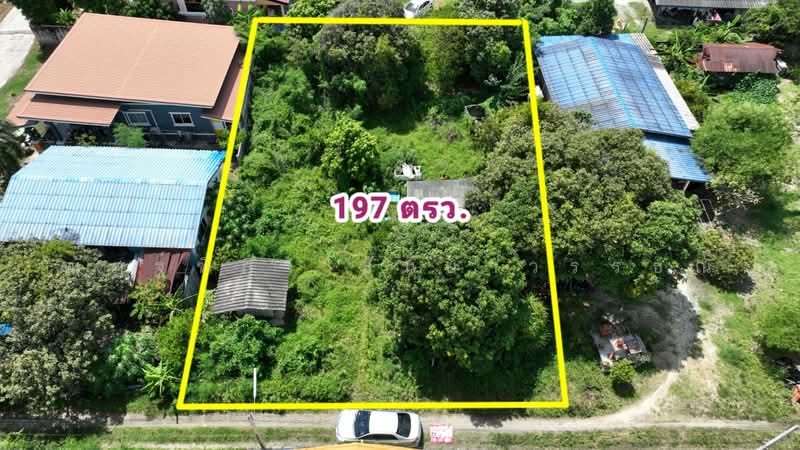 ตำบลเหมือง อำเภอเมือง จังหวัดชลบุรี, Chon Buri (Pattaya), Mhueng, Muang Chon Buri, Chon Buri (Pattaya), , 788 sqm, Land For Sale, by Nattipha Thanyawat, 500490002 - DDproperty.com