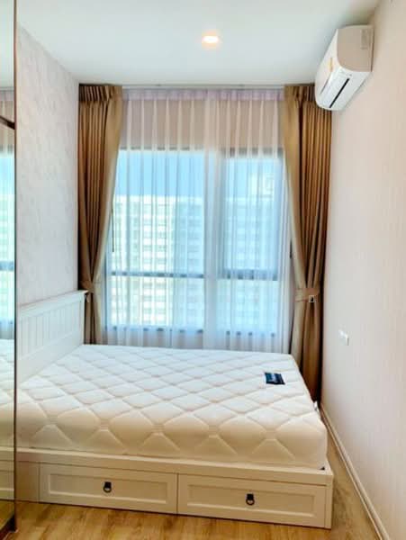 KnightsBridge Collage Ramkhamhaeng, Bangkok, Ramkhamhaeng Road, Hua Mak, Bang Kapi, Bangkok, 1 Bedroom, 27 sqm, Condo For Rent, by ณัฐพงศ์ สุนทรอรุณ, 500490031 - DDproperty.com