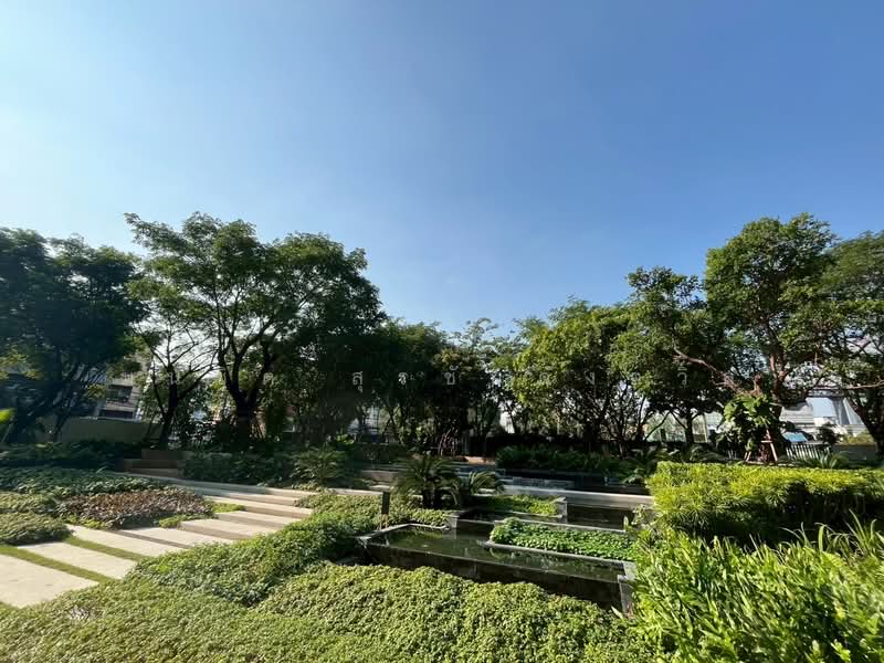 Modiz Sukhumvit 50, Bangkok, Soi Sukhumvit 50, Phra Kanong, Khlong Toei, Bangkok, 1 Bedroom, 29 sqm, Condo For Rent, by Monchit Surachaidunthavin, 500490037 - DDproperty.com