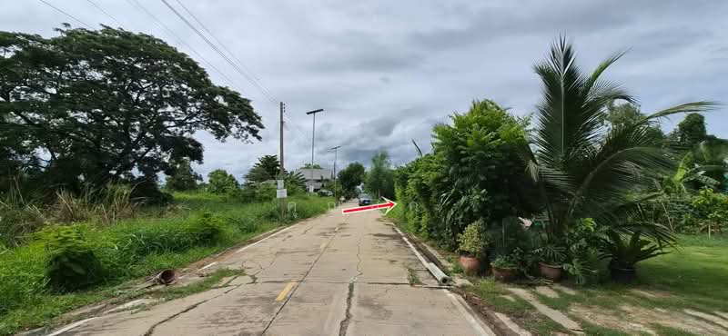 ขายที่ดิน, ปทุมธานี, ลำผักกูด, ธัญบุรี, ปทุมธานี, 400 ตร.ม., ที่ดิน ขาย, โดย คุณนก, 500490051 - DDproperty.com