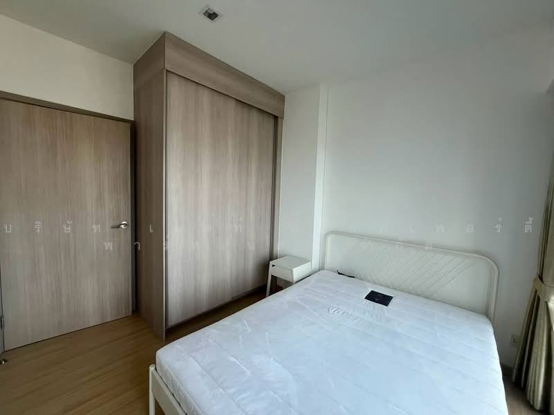 Whizdom Connect Sukhumvit, Bangkok, 1 Soi Piyibut 1, Sukhumvit Road, Bang Na, Bangkok, 1 Bedroom, 29 sqm, Condo For Rent, by Nest Property Partner Co., Ltd., 500490245 - DDproperty.com