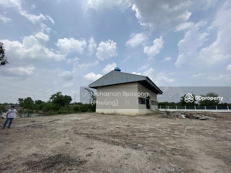 ให้เช่าโรงงานพื้นที่ขนาดใหญ่ เนื้อที่ 20 ไร่ ลาดหลุมแก้ว ปทุมธานี, ปทุมธานี, ลาดหลุมแก้ว, ปทุมธานี, 7,639 ตร.ม., โกดัง-โรงงาน ให้เช่า, โดย Nichamon Buasong (Pheung), 500490327 - DDproperty.com