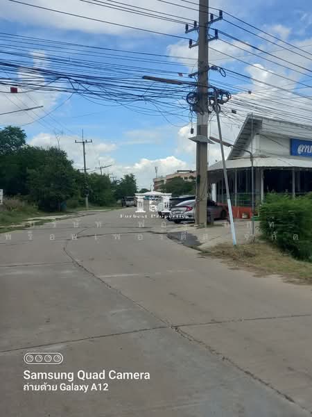 45897 – ทำเลเด่น บางปะอิน-วังน้อย: ที่ดิน 407.3 ตร.ว. หน้ากว้าง ติดถนนใหญ่ซอย 12 ม. ใกล้นิคมฯ พัฒนาอ, พระนครศรีอยุธยา, ถนนหมายเลข 32, คลองจิก, บางปะอิน, พระนครศรีอยุธยา, 1,628 ตร.ม., ที่ดิน ขาย, โดย บริษัท ฟอร์เบสท์ พร็อพเพอร์ตี้ส์ จำกัด, 500490343 - DDproperty.com