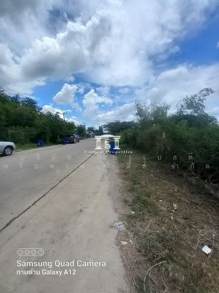 45897 – ทำเลเด่น บางปะอิน-วังน้อย: ที่ดิน 407.3 ตร.ว. หน้ากว้าง ติดถนนใหญ่ซอย 12 ม. ใกล้นิคมฯ พัฒนาอ, พระนครศรีอยุธยา, ถนนหมายเลข 32, คลองจิก, บางปะอิน, พระนครศรีอยุธยา, 1,628 ตร.ม., ที่ดิน ขาย, โดย บริษัท ฟอร์เบสท์ พร็อพเพอร์ตี้ส์ จำกัด, 500490343 - DDproperty.com
