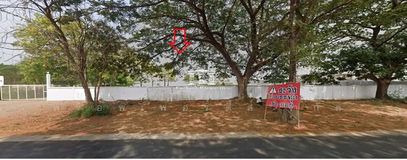 45977 – แปลงใหญ่ผืนงามผังสีส้ม! ขายที่ดิน 26 ไร่เศษ กบินทร์บุรี-ปราจีนบุรี หน้ากว้างติดถนนใหญ่ 156 เ, Prachin Buri, ถนนเทศบาล 2, Kabin, Kabin Buri, Prachin Buri, , 42,577 sqm, Land For Sale, by Forbest Properties Co., Ltd., 500490347 - DDproperty.com