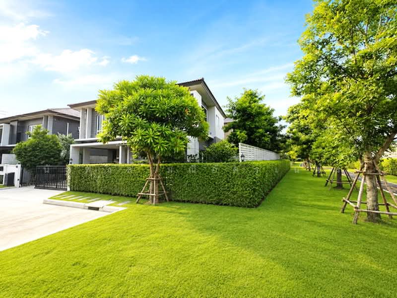 Centro Phahol-Vibhavadi 2, Pathum Thani, Klong 1 Khlong Luang, Khlong Nung, Khlong Luang, Pathum Thani, 4 Bedrooms, 225 sqm, Single Detached House For Rent, by นัฐพงค์ มณีอัครเนตร, 500490445 - DDproperty.com