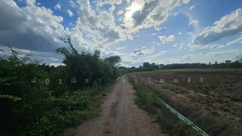 Lan for sale- Takong,Nakonpatom, Nakhon Pathom, Ta Kong, Muang Nakhon Pathom, Nakhon Pathom, , 29,608 sqm, Land For Sale, by Nuttanicha Sukawattanasiri, 500490542 - DDproperty.com