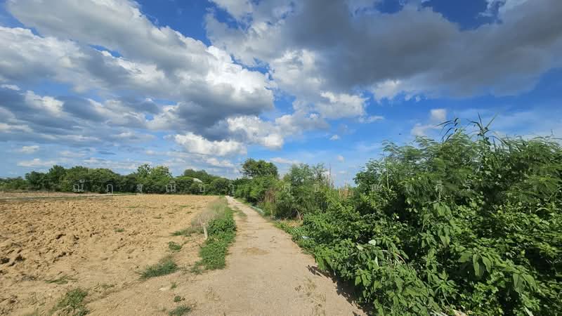 Lan for sale- Takong,Nakonpatom, Nakhon Pathom, Ta Kong, Muang Nakhon Pathom, Nakhon Pathom, , 29,608 sqm, Land For Sale, by Nuttanicha Sukawattanasiri, 500490542 - DDproperty.com