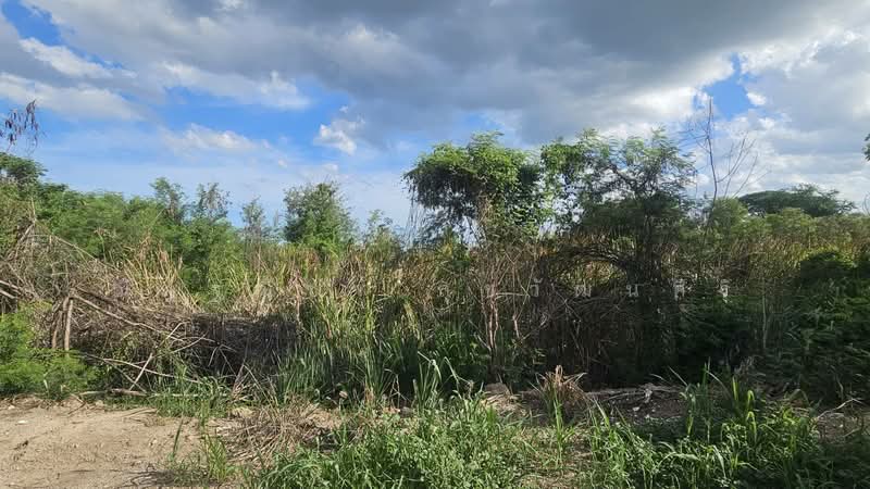 Lan for sale- Takong,Nakonpatom, Nakhon Pathom, Ta Kong, Muang Nakhon Pathom, Nakhon Pathom, , 29,608 sqm, Land For Sale, by Nuttanicha Sukawattanasiri, 500490542 - DDproperty.com