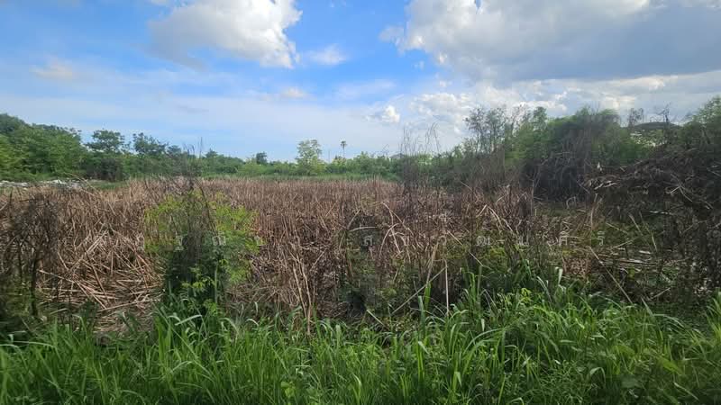 Lan for sale- Takong,Nakonpatom, Nakhon Pathom, Ta Kong, Muang Nakhon Pathom, Nakhon Pathom, , 29,608 sqm, Land For Sale, by Nuttanicha Sukawattanasiri, 500490542 - DDproperty.com