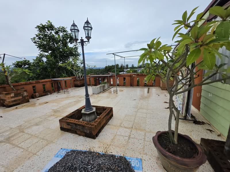 สตูล, Satun, บายพาส, Phiman, Muang Satun, Satun, , 700 sqm, Shophouse For Sale, by ศศิธร สามารถ ( เรียม ), 500490647 - DDproperty.com