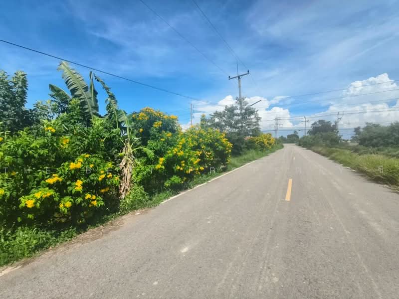 ที่ดินบางคล้า ฉะเชิงเทรา, ฉะเชิงเทรา, บางคล้า, ฉะเชิงเทรา, 268 ตร.ม., ที่ดิน ขาย, โดย The Best Property ซี, 500490660 - DDproperty.com