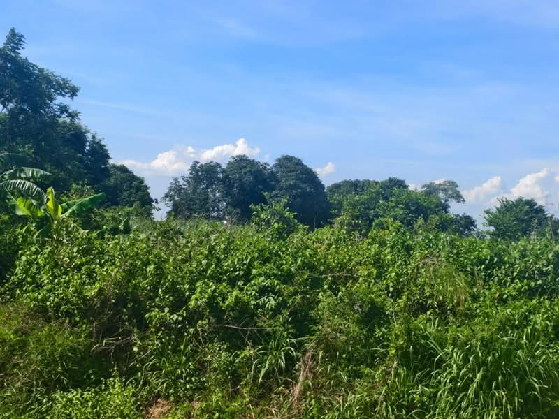 ที่ดินบางคล้า ฉะเชิงเทรา, ฉะเชิงเทรา, บางคล้า, ฉะเชิงเทรา, 268 ตร.ม., ที่ดิน ขาย, โดย The Best Property ซี, 500490660 - DDproperty.com