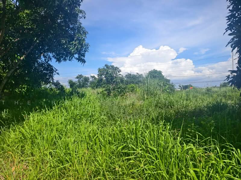 ที่ดินบางคล้า ฉะเชิงเทรา, ฉะเชิงเทรา, บางคล้า, ฉะเชิงเทรา, 268 ตร.ม., ที่ดิน ขาย, โดย The Best Property ซี, 500490660 - DDproperty.com
