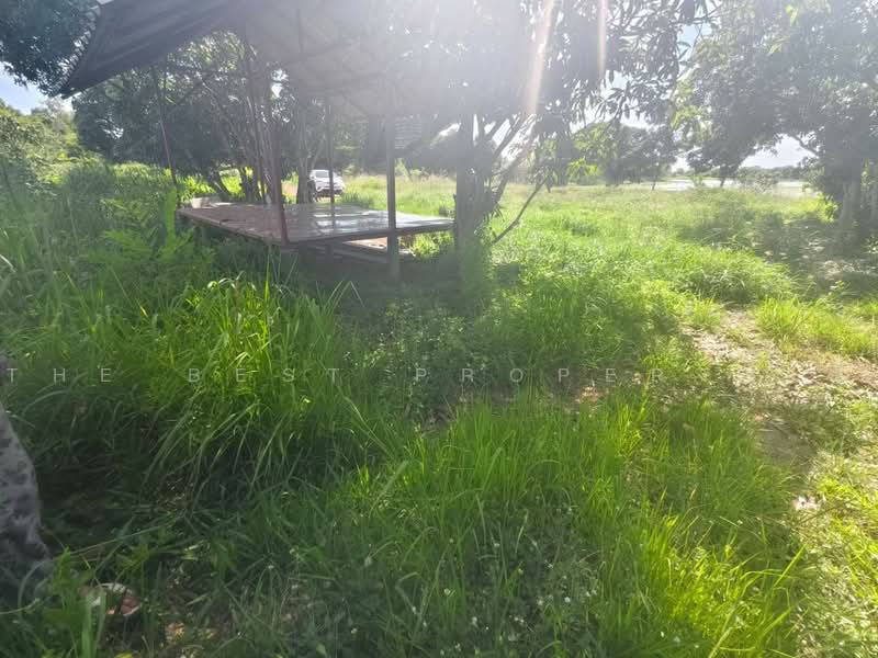 ที่ดินบางคล้า ฉะเชิงเทรา, Chachoengsao, Bang Khla, Chachoengsao, , 268 sqm, Land For Sale, by The Best Property ซี, 500490660 - DDproperty.com