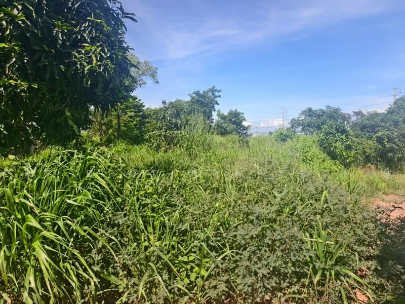 ที่ดินบางคล้า ฉะเชิงเทรา, ฉะเชิงเทรา, บางคล้า, ฉะเชิงเทรา, 268 ตร.ม., ที่ดิน ขาย, โดย The Best Property ซี, 500490660 - DDproperty.com