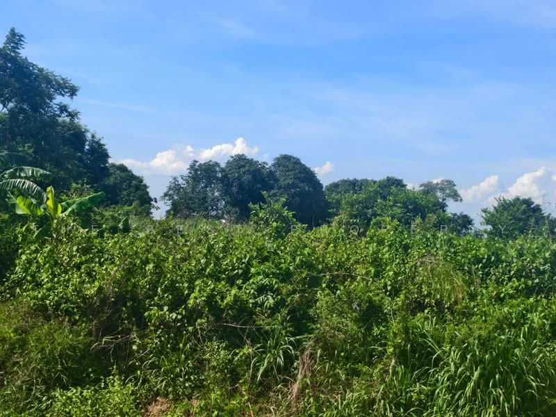 ที่ดินบางคล้า ฉะเชิงเทรา, ฉะเชิงเทรา, บางคล้า, ฉะเชิงเทรา, 268 ตร.ม., ที่ดิน ขาย, โดย The Best Property ซี, 500490681 - DDproperty.com