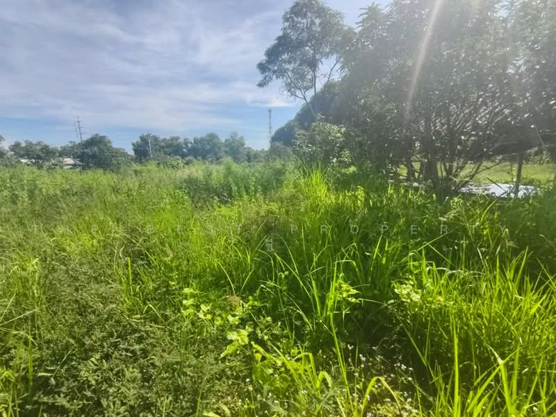 ที่ดินบางคล้า ฉะเชิงเทรา, Chachoengsao, Bang Khla, Chachoengsao, , 268 sqm, Land For Sale, by The Best Property ซี, 500490681 - DDproperty.com