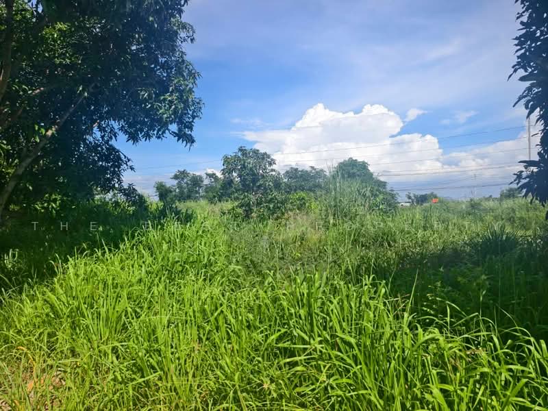 ที่ดินบางคล้า ฉะเชิงเทรา, ฉะเชิงเทรา, บางคล้า, ฉะเชิงเทรา, 268 ตร.ม., ที่ดิน ขาย, โดย The Best Property ซี, 500490681 - DDproperty.com