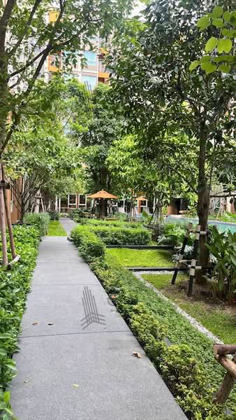 Dcondo Panaa, Bangkok, 188 Liap Thang Rotfai Taling Chan Rd, Bang Khun Sri, Bangkok Noi, Bangkok, 1 Bedroom, 27 sqm, Condo For Sale, by Thidarat Chaijumroonpun, 500490691 - DDproperty.com