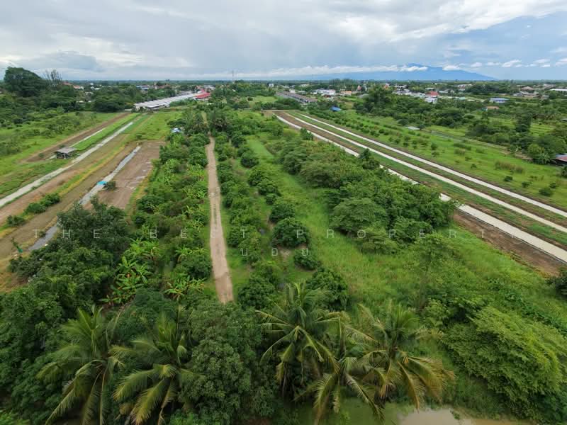 ที่ดินเหมืองง่า ลำพูน, Lamphun, Muang Nga, Muang Lamphun, Lamphun, , 9,120 sqm, Land For Sale, by The Best Property บอย, 500490716 - DDproperty.com